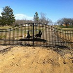 Custom Made Gate